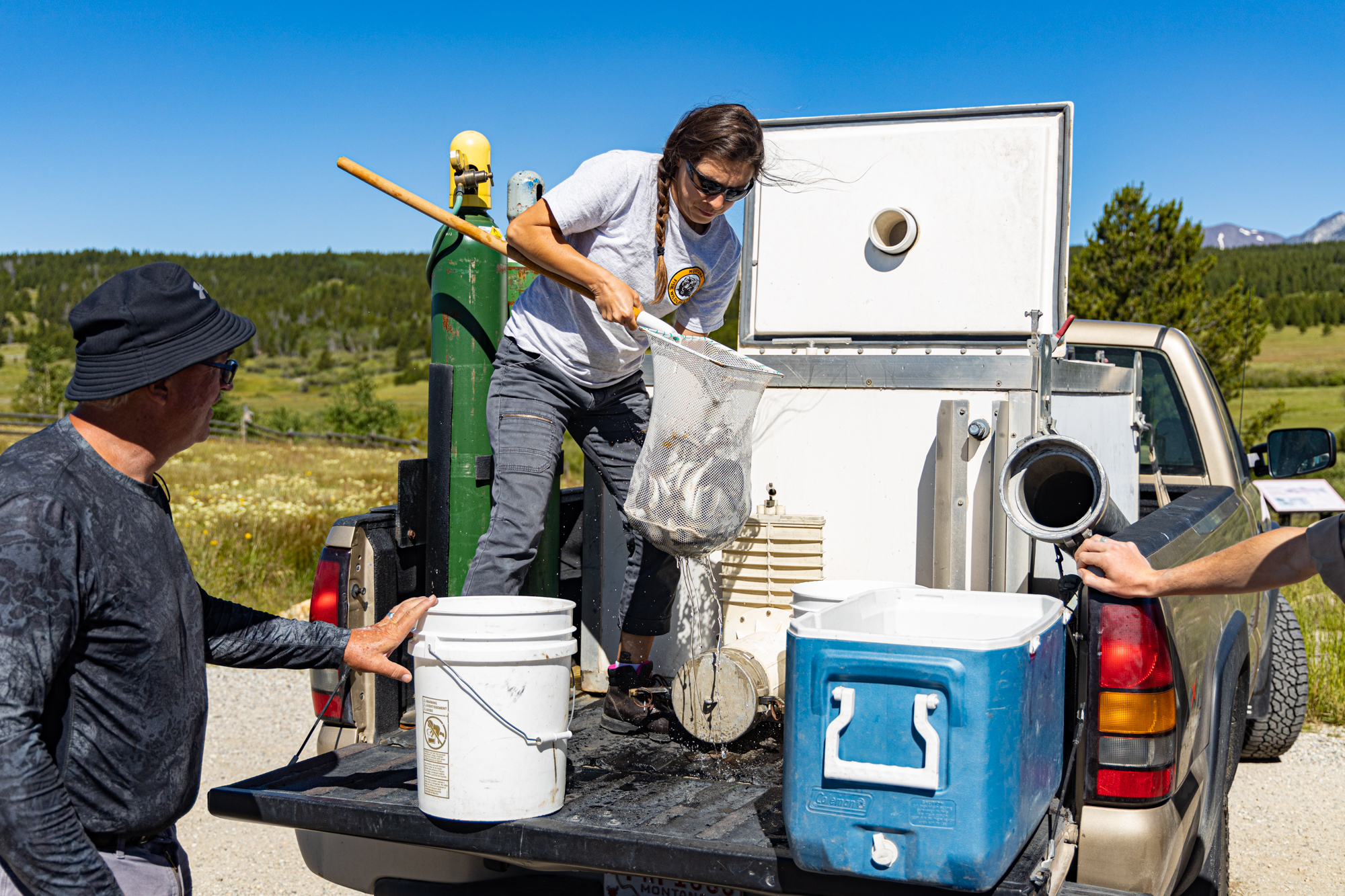 French Creek fish stocking