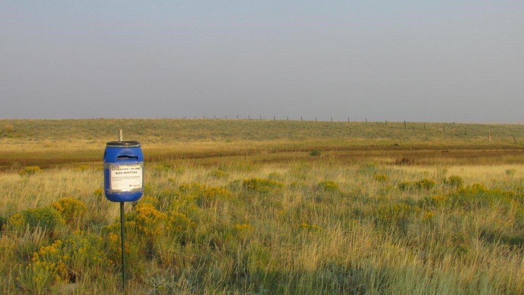 Wing collection barrel