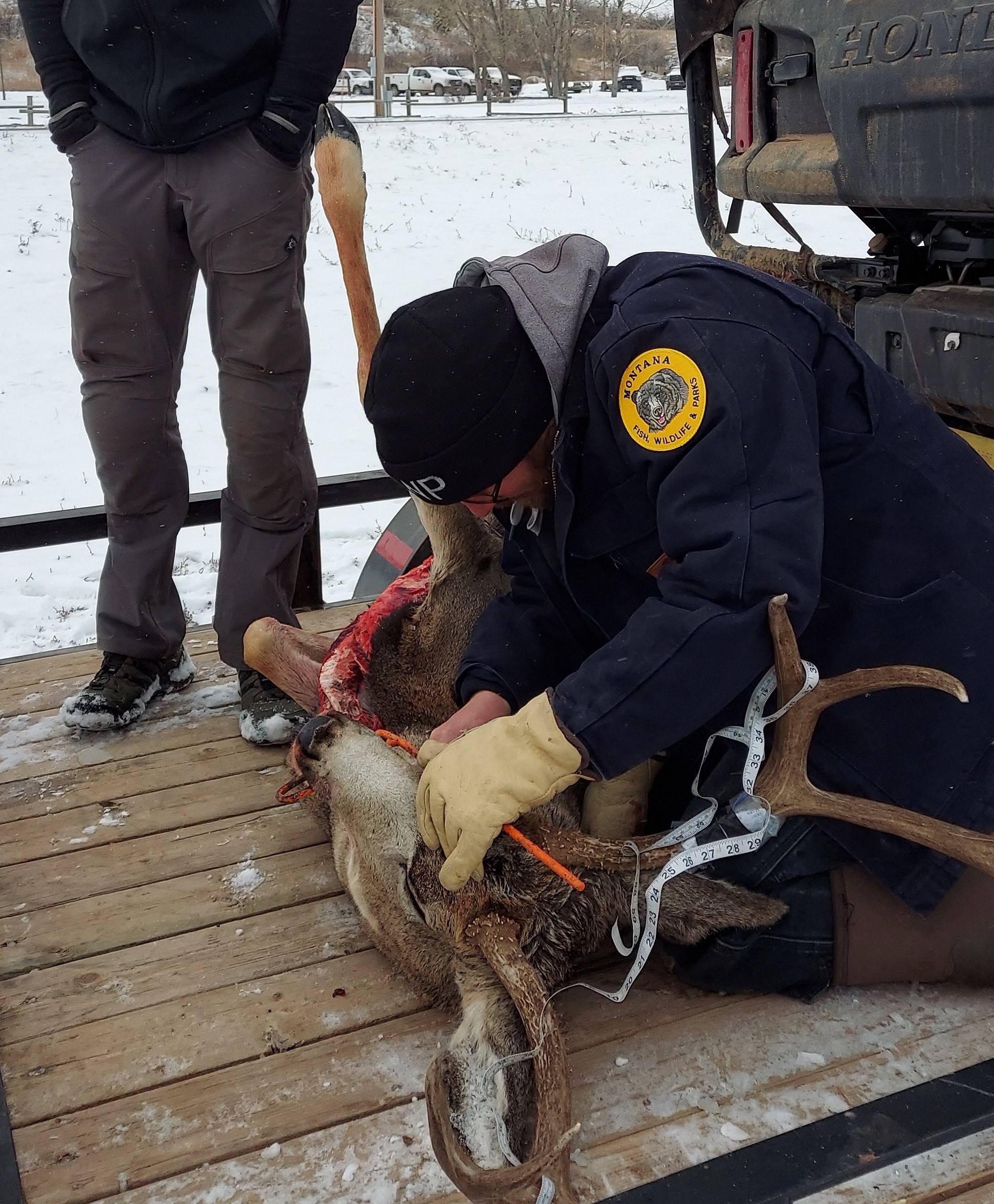 Region 7 Wildlife Manager, Brett Dorak, at the Ashland check station