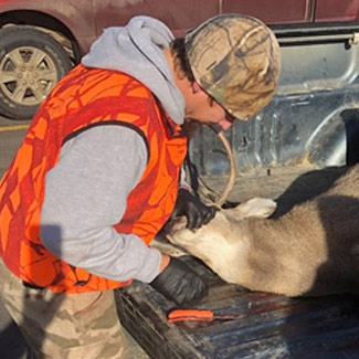 Hunter at CWD sampling station