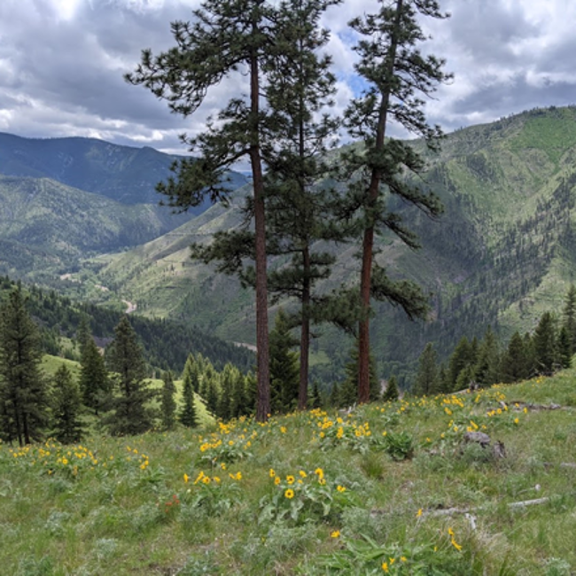 Fish Creek State Park