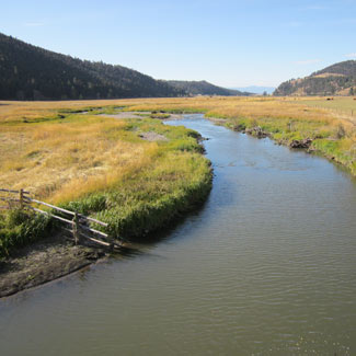 River closeup