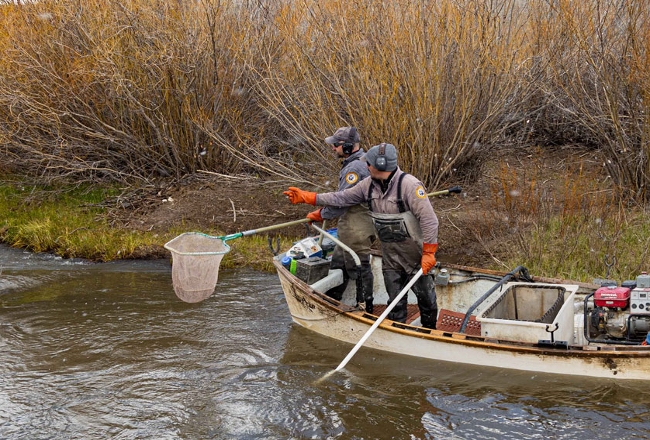 Fisheries staff