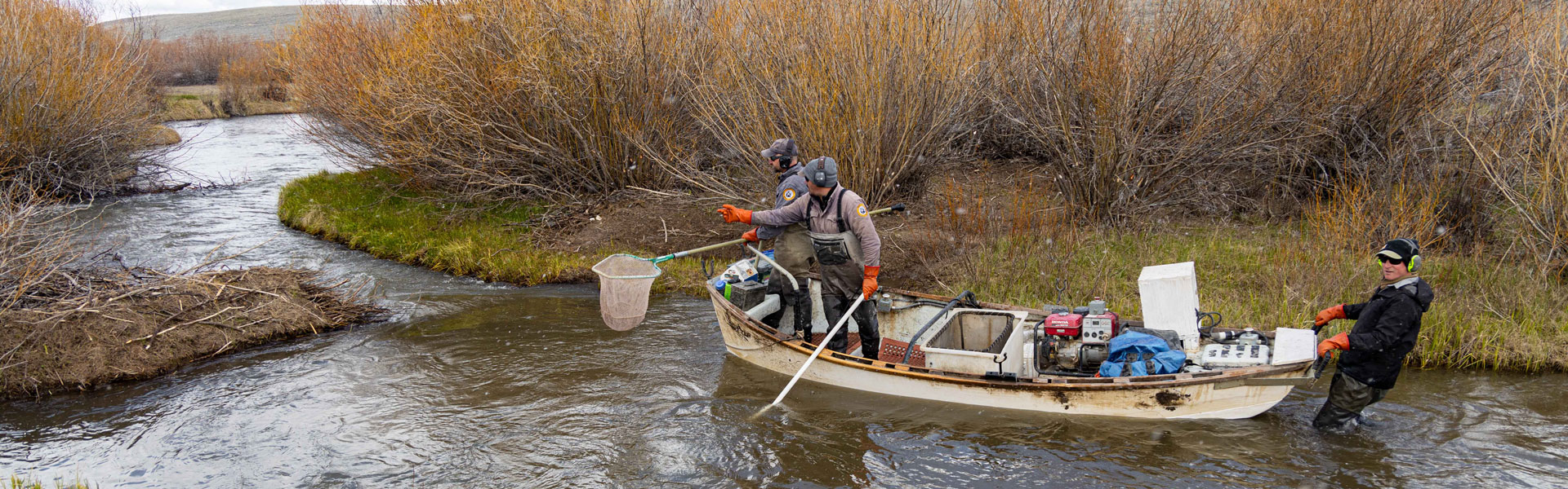 Fisheries staff on the water