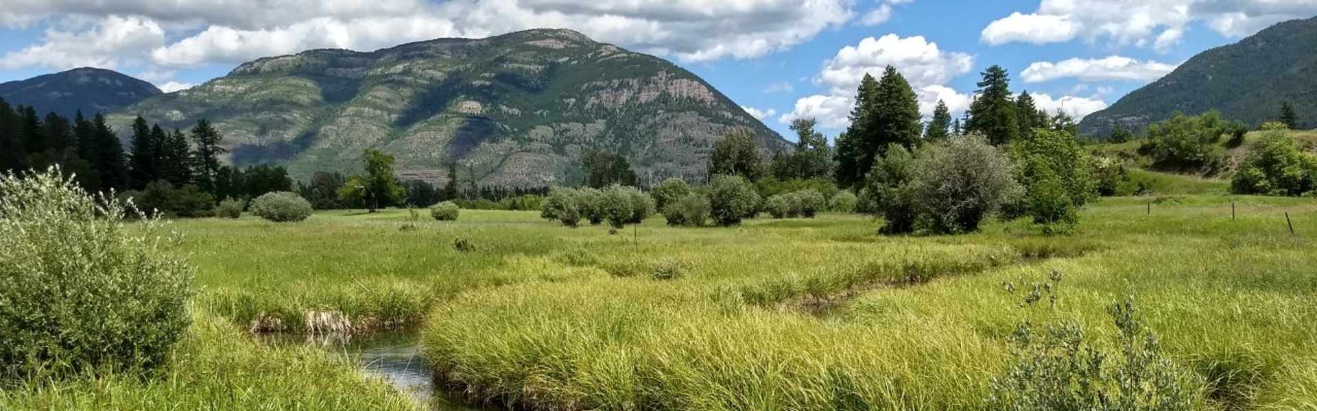 Bad Rock Canyon WMA