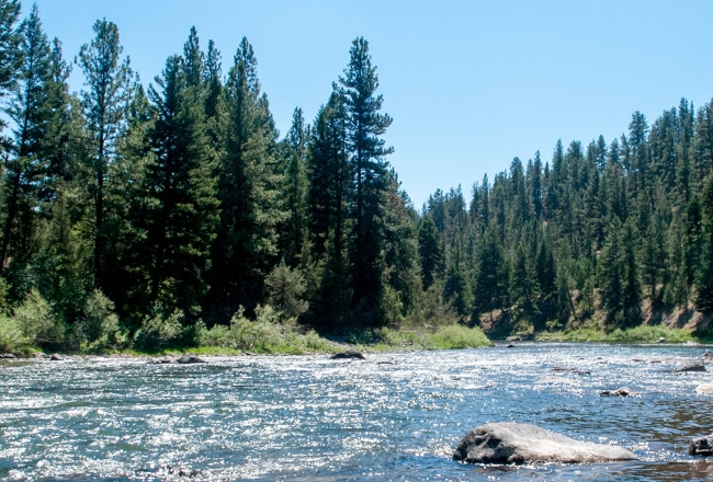 Blackfoot river