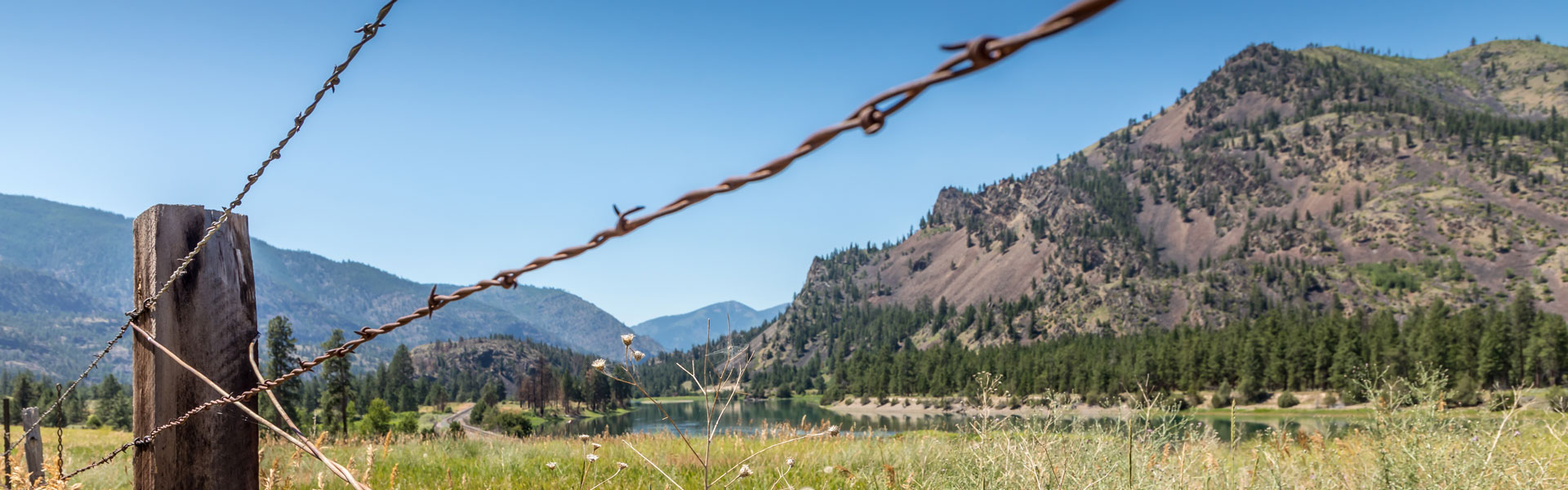 Landscape with barbed wire