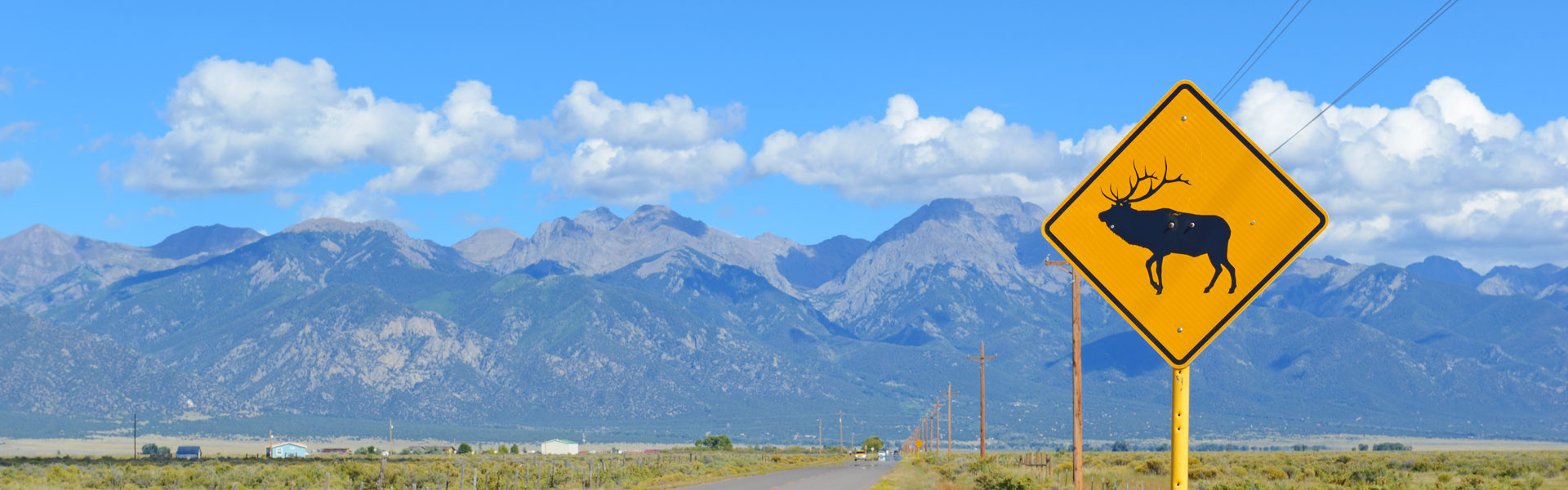 Elk crossing sign