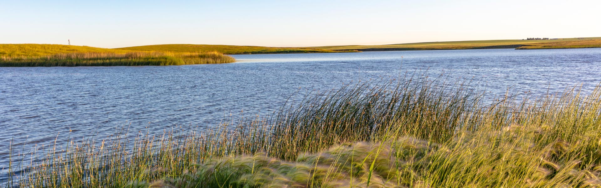 Habitat landscape