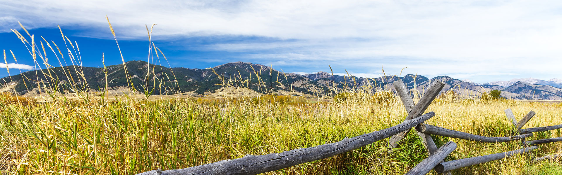 Fence and landscape