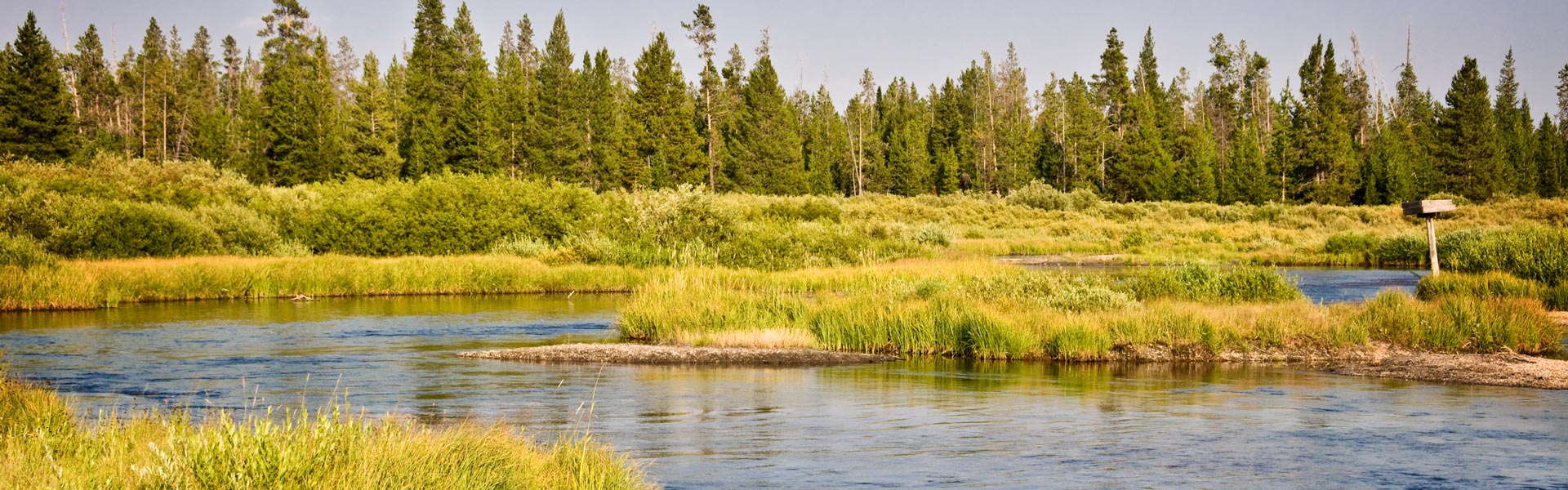 Madison River near West Yellowstone