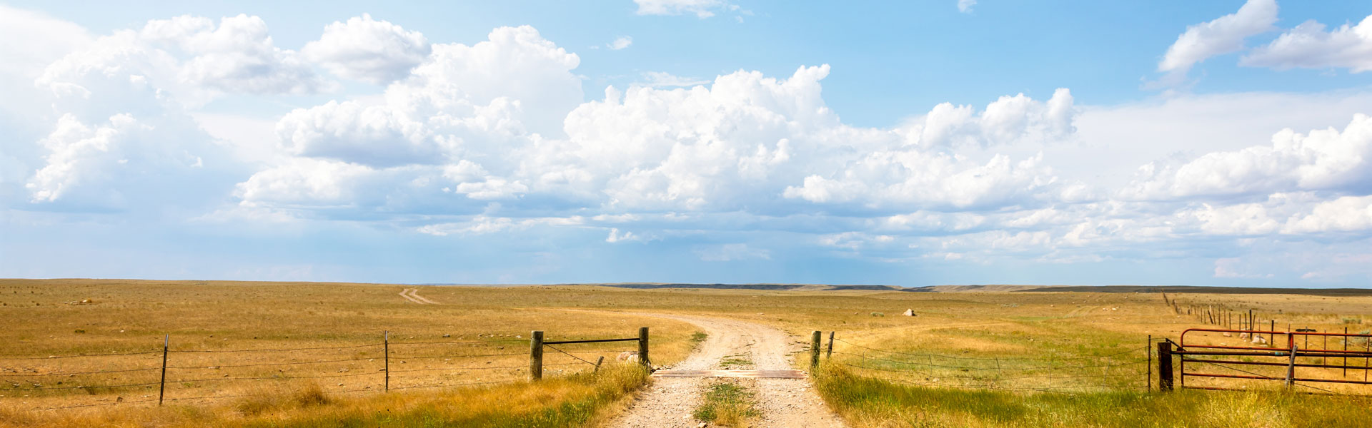 Fence in eastern Montana