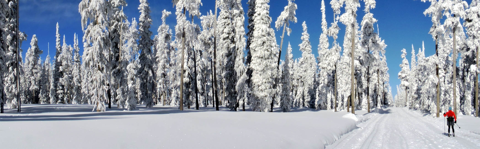 Person cross-country skiing