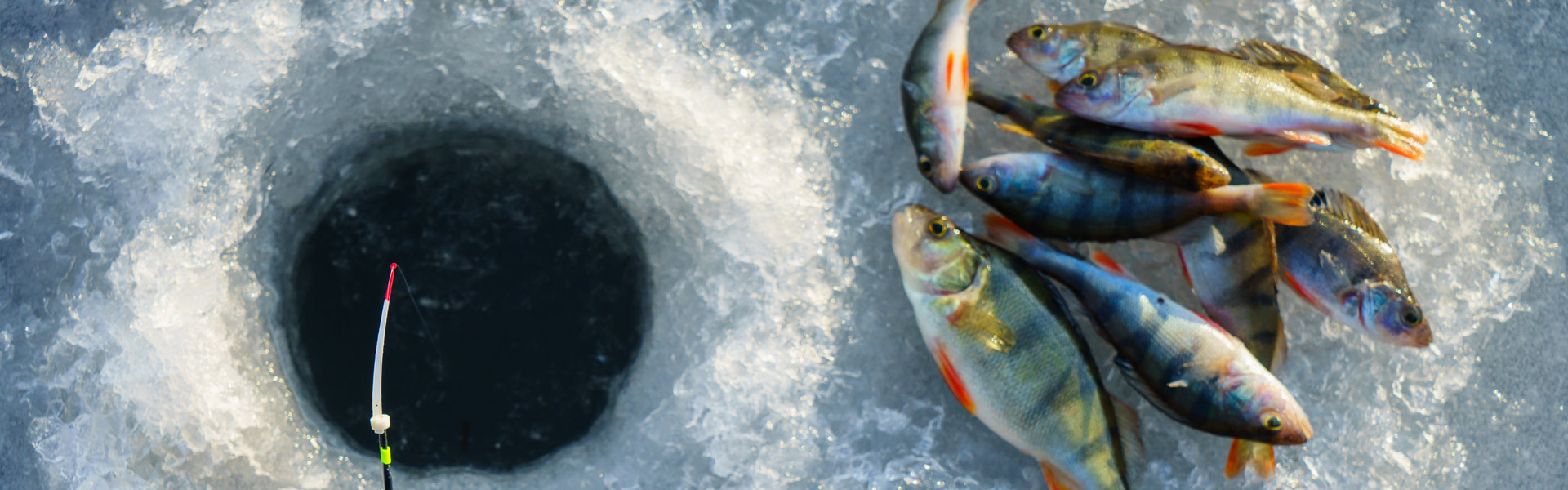 Ice Fishing In Montana