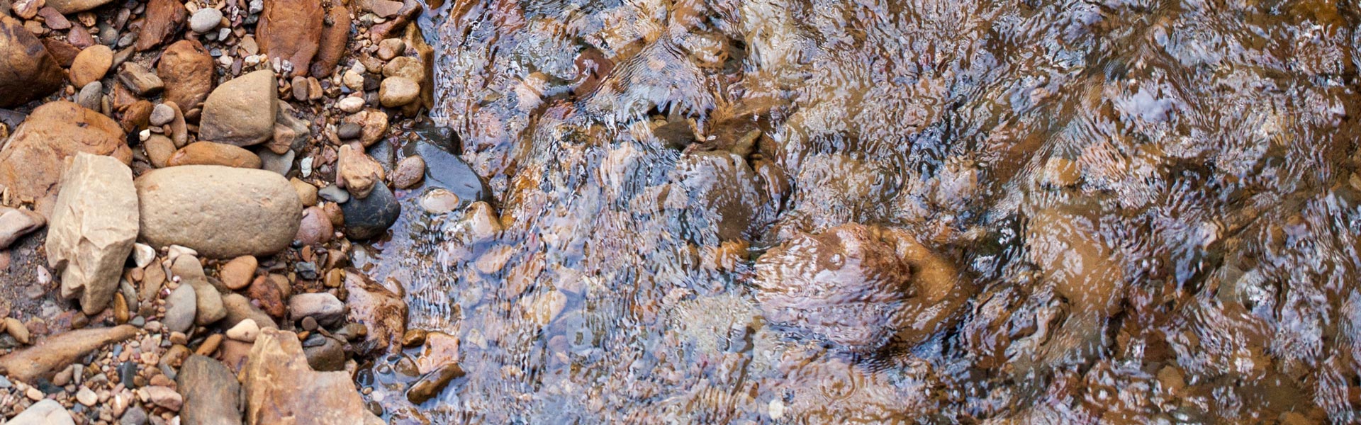 Closeup of river rock and water