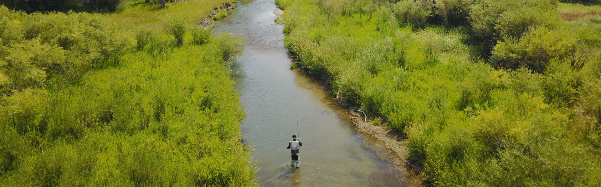 Person fly fishing