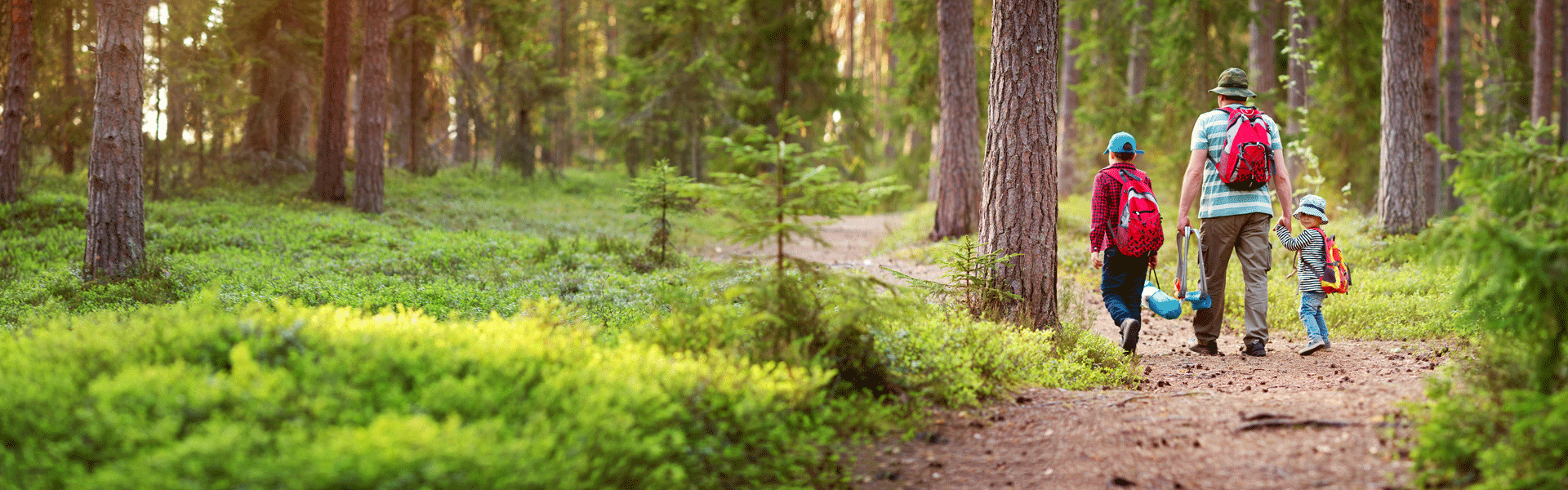 A man and two children hiking in a green Montana forest.