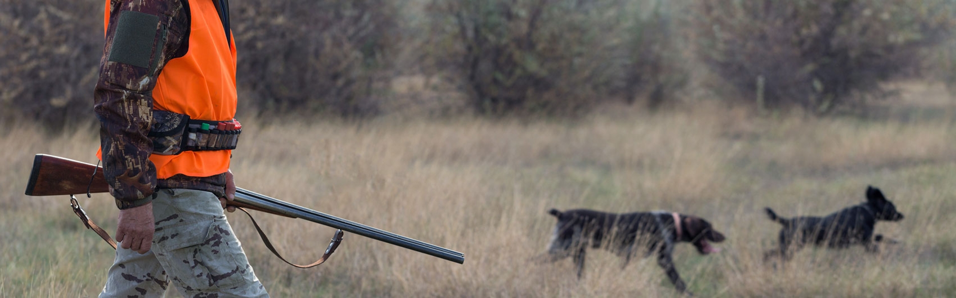 Upland game bird hunter