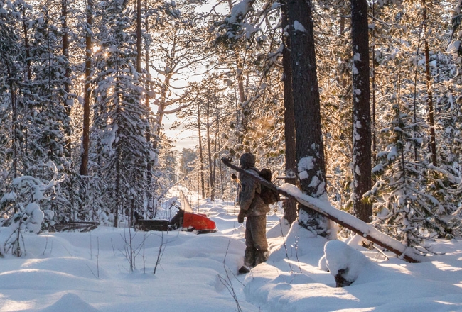 Hunt In Montana