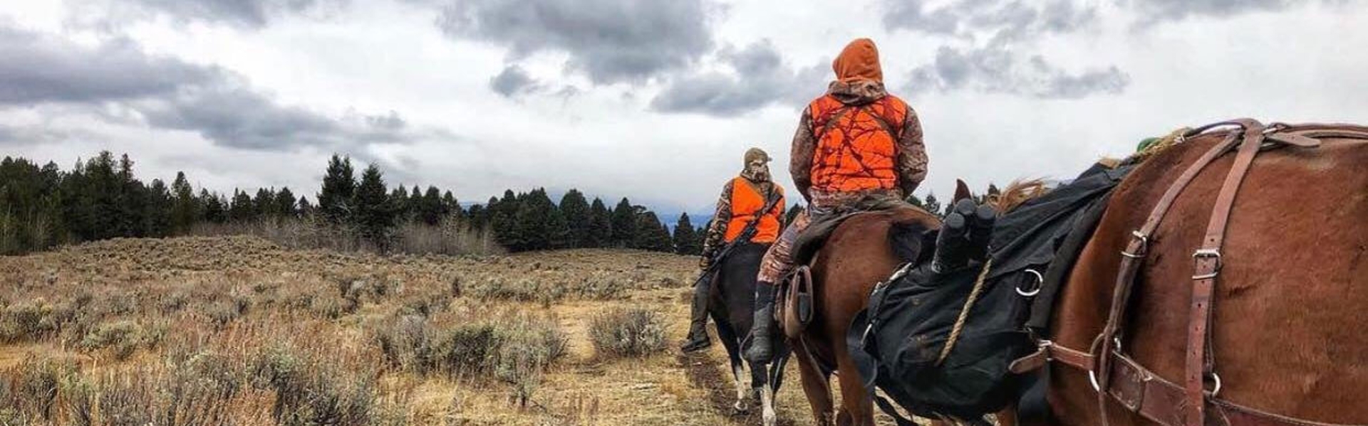 Two hunters in field