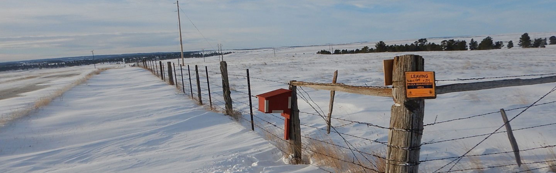 Snowy Block Management Area in Region 5