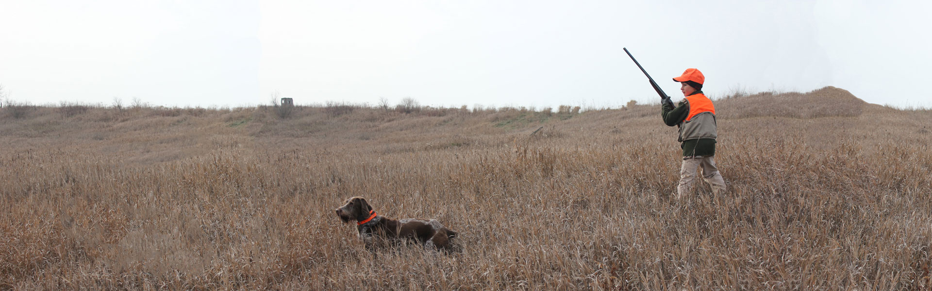 Youth pheasant hunter and dog