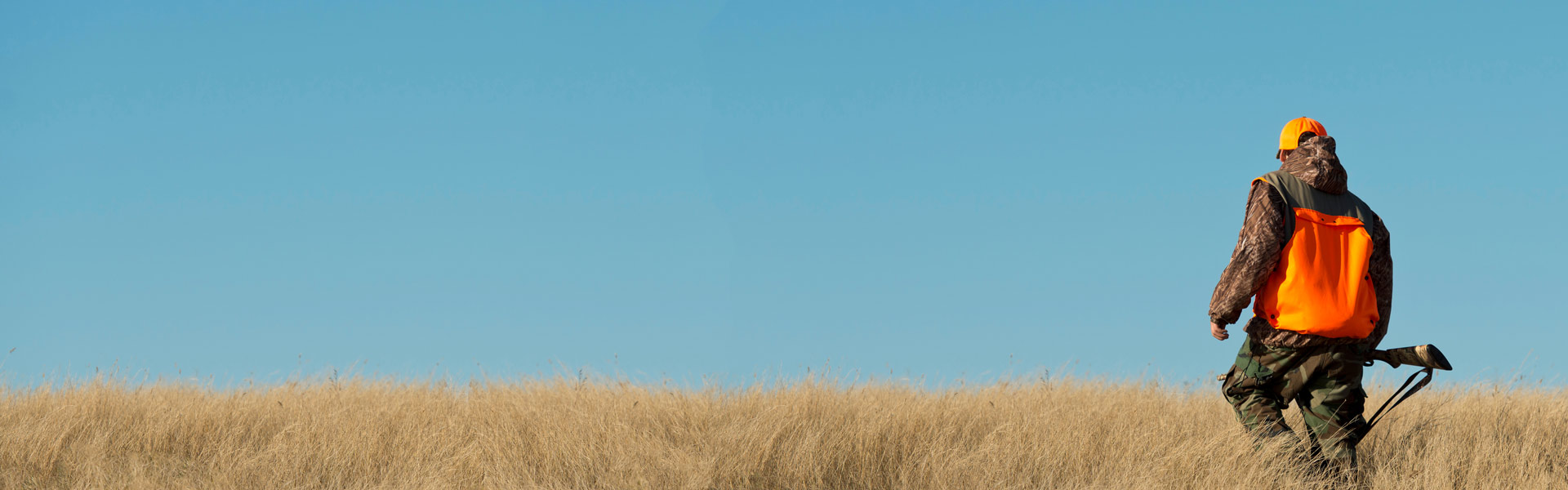 Upland game bird hunter in a field