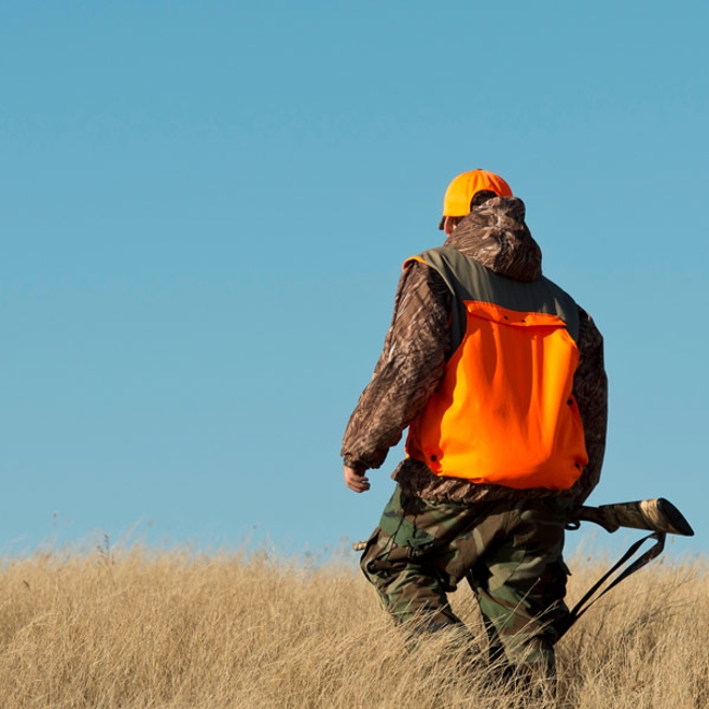 Bird hunter in the field