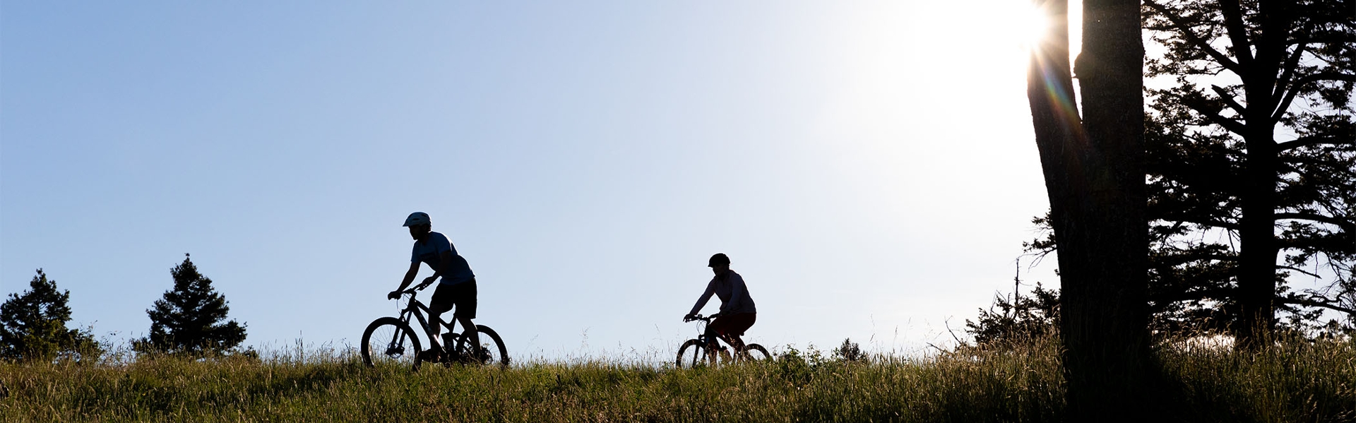 Bicycles on Trail