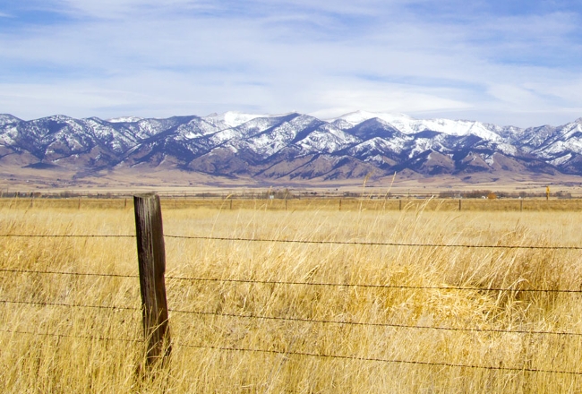 Fence and landscape