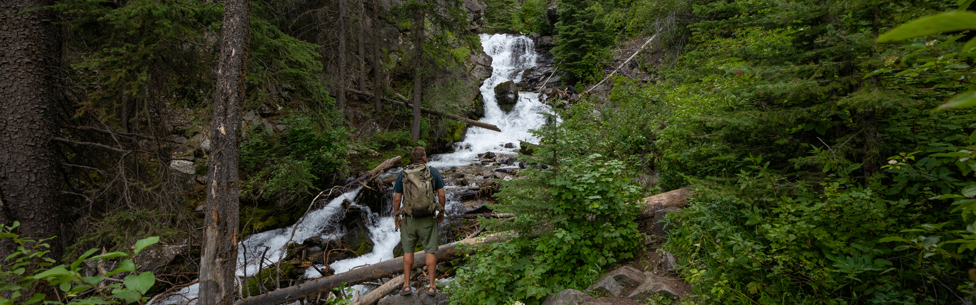 First Day Hike