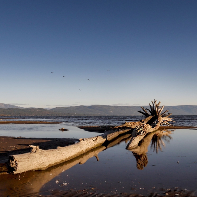 Home Page Montana FWP