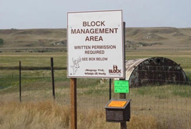 Block Management sign