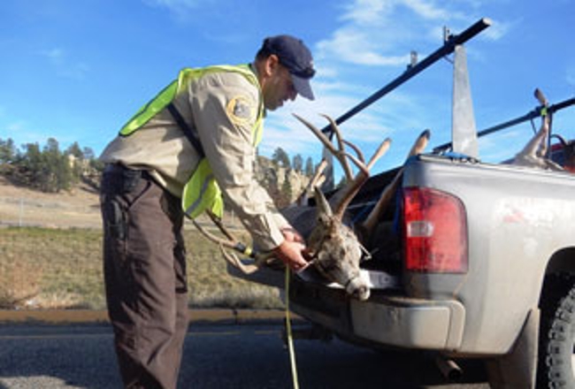 Biologist at check station