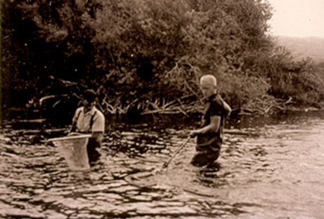 Historical Gill Netting