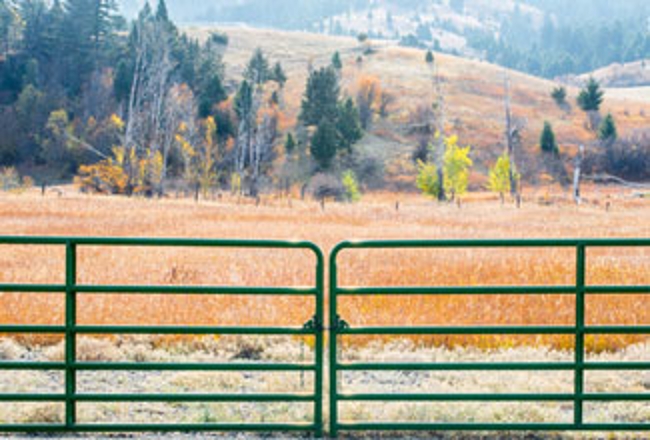 Fence and private land