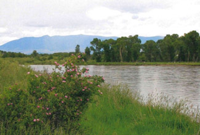 Canyon Ferry WMA boundary fencing