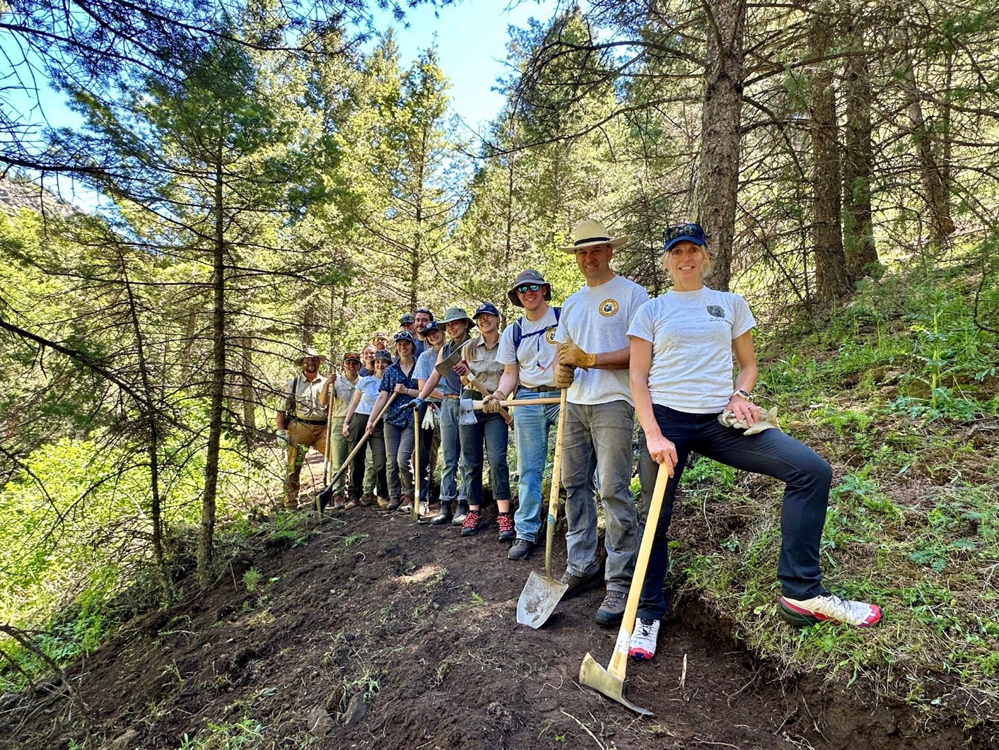 Alt text placeholder