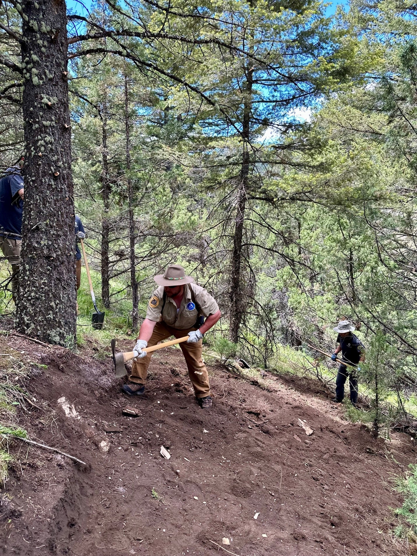 Alt text placeholder