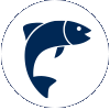 Fish logo