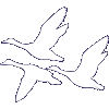 Migratory bird icon