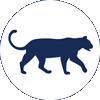 Mountain lion icon
