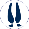 Pronghorn track icon