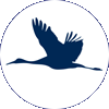 Sandhill crane icon