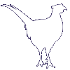 Upland game bird icon
